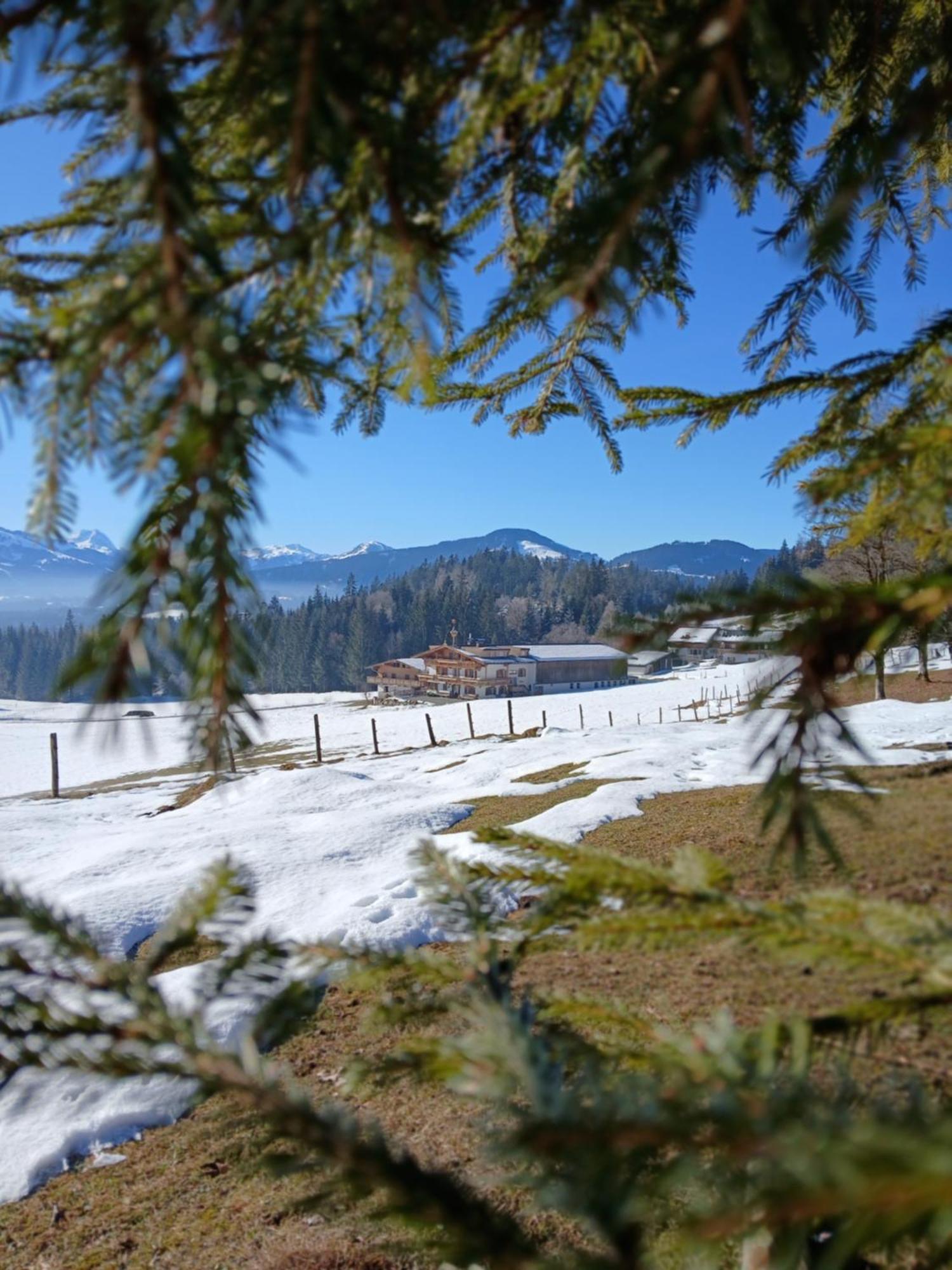 Ferienwohnung Maurerhof Sankt Johann in Tirol Exterior foto